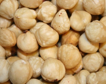 Hazelnuts (Filberts) Blanched Raw Unsalted, FREE Expedited Shipping