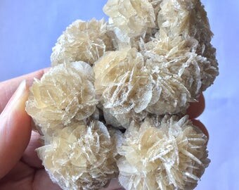 Selenite! Desert Rose Selenite! Selenite Rose Cluster! Sparkly Peachy Tan and White Selenite Rose Specimen! Beautiful form of Selenite!