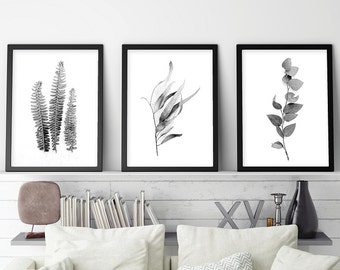 Set of 3 Prints, Printable Art, Set of 3, Black and White, Botanical Prints, Print Set, Black White, Botanical, Wall Art, Posters, Prints