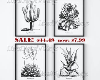 Black and white prints, Set of prints, Black and white wall art, Set of 4 botanical prints, Antique Botanical, Printable art, Download JPG