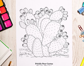 Download Coloring pages cactus | Etsy