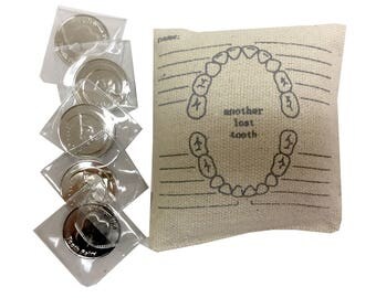 Tooth Fairy Pillow and Coins