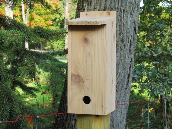 Cedar Winter Roost House for backyard birds Handcrafted Wood