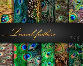 Peacock Feathers / Feathers Paper Pack / Feathers Scrapbook Paper / Feathers Paper / Peacock / Feathers Digital Paper / Peacock Paper