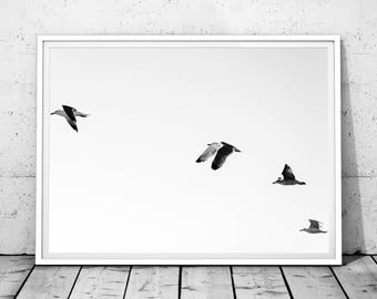 Minimalist Print, Seagull Art, Seagull Print, Minimalist, Wall Art, Digital Print, Minimalist Printable Art, Black and White, Wall Art Print