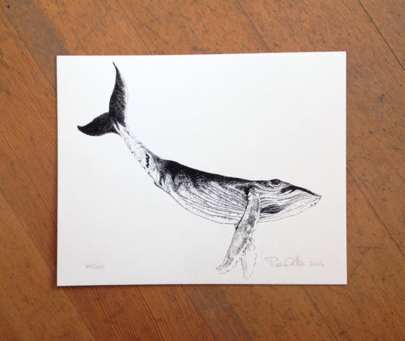 Humpback whale hand printed on cotton paper