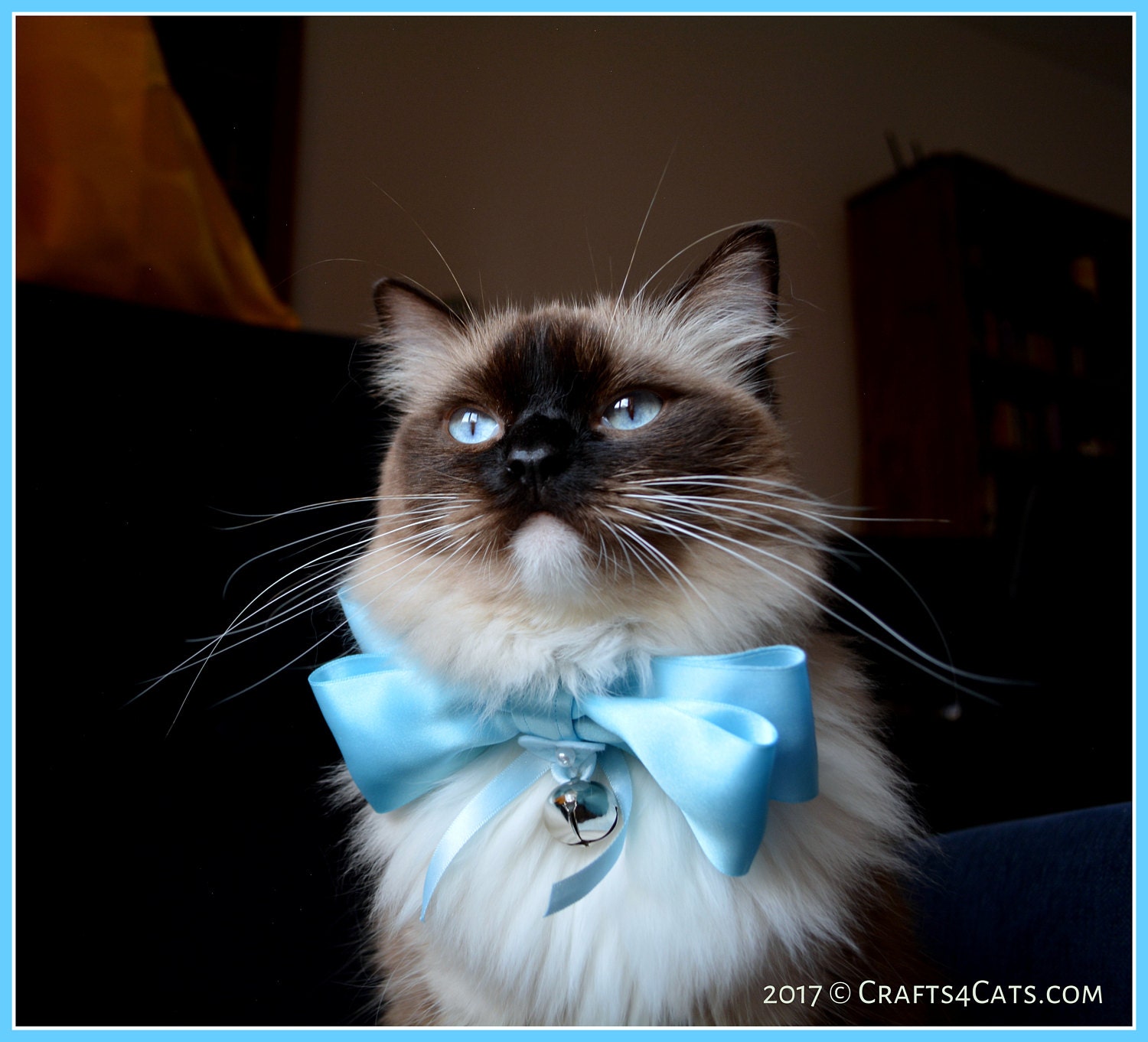 Luxury cat bow tie