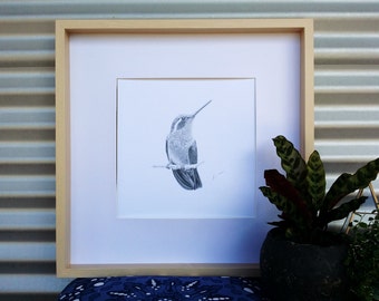 A3 Honeyeater Print (Ed. 10 of 50)