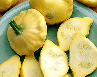 Summer Squash Seeds-Scallop Yellow Bush-Organic-NON-GMO