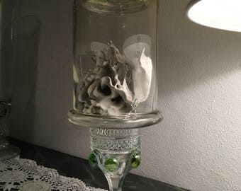 Storage jar with lid/apothecary jar