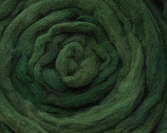 200g Acid Dyed Merino D'Arles Wool Top - Forest