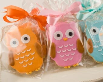 Owl Cookies - 25 Decorated Sugar Cookie Favors