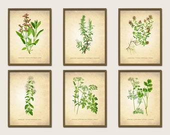 Herbs Antique Botanical Print Set of 6, Vintage Botanical Prints, Kitchen Decor, Herb Pictures Set of 6, Six Herb Print Set, Choose Any Size