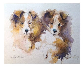 Sheltie puppies shetland sheepdog print dog art dogs watercolor -