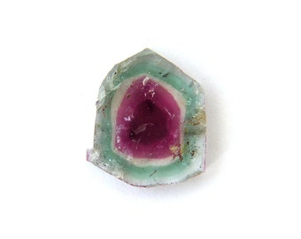 Watermelon Tourmaline Slice Cabochon Gemstone 12.2 ct 13.5x19.1x3.7 mm Free Shipping