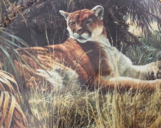 Wildlife Plate, Mountain Lion Plate, Man Cave Decor, Wall Hanging, Rare Encounters, Last Sanctuary, Gift For Christmas
