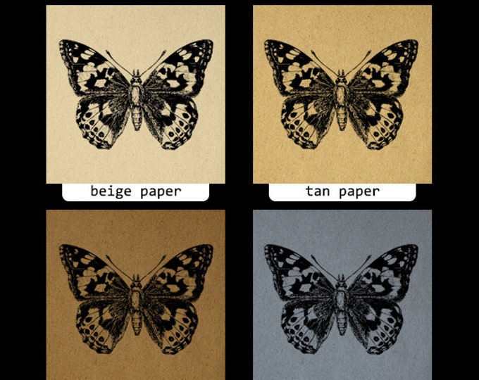 Painted-Lady Butterfly Graphic Digital Download Illustration Image Printable Vintage Clip Art Jpg Png Eps HQ 300dpi No.3193