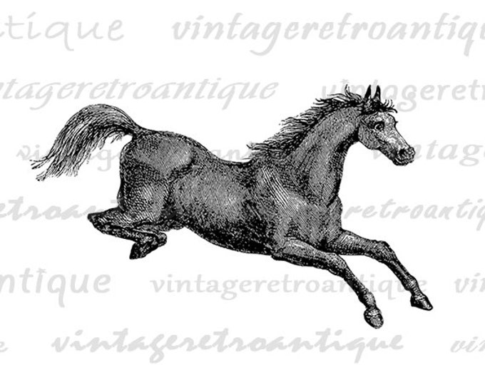 Digital Jumping Horse Printable Image Graphic Download Artwork Antique Clip Art Jpg Png Eps HQ 300dpi No.2278