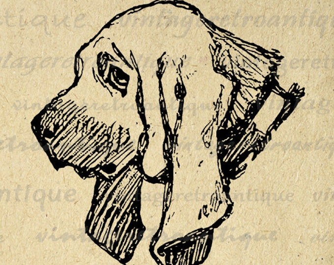 Printable Graphic English Bloodhound Dog Image Illustration Digital Download Vintage Clip Art Jpg Png Eps HQ 300dpi No.3177