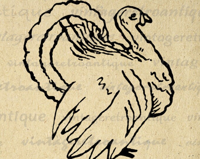 Digital Image Thanksgiving Turkey Printable Illustration Graphic Download Antique Clip Art Jpg Png Eps HQ 300dpi No.3240