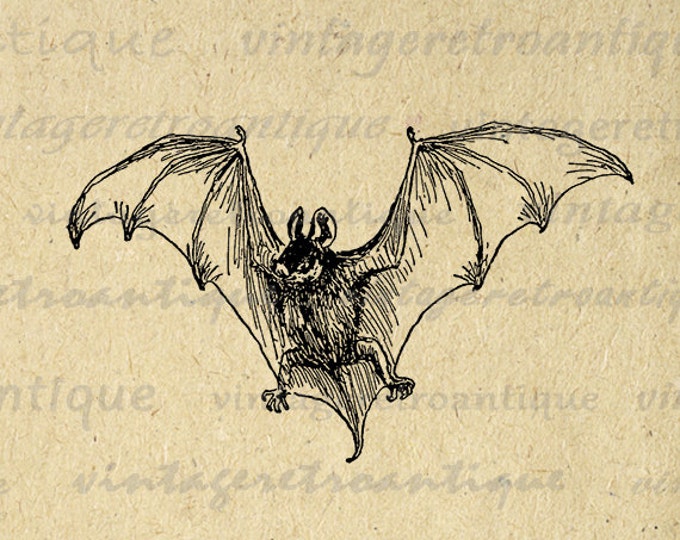 Antique Flying Bat Image Digital Graphic Halloween Printable Download T-Shirts Jpg Png Eps HQ 300dpi No.249