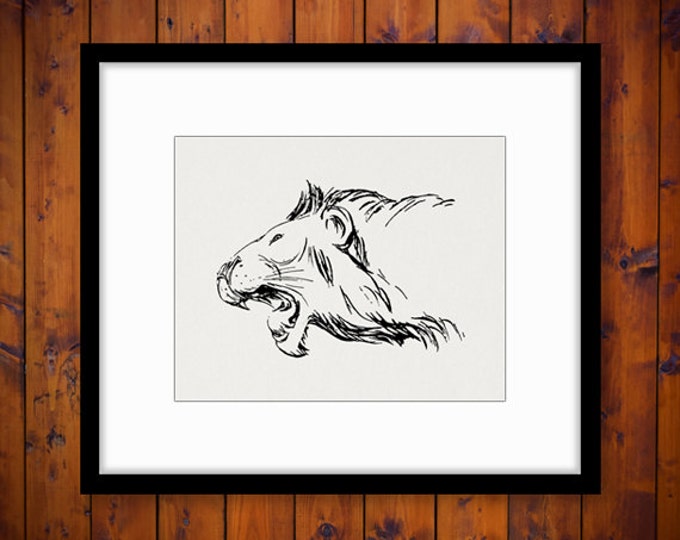 Printable Digital Lion Head Download Image Graphic Illustration Vintage Clip Art Jpg Png Eps HQ 300dpi No.2864