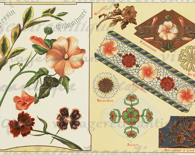 Flowers Collage Sheet Graphic Digital Printable Elegant Antique Color Image Download Vintage Clip Art HQ 300dpi No.364