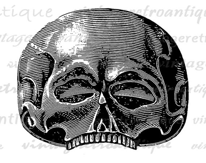 Skull Graphic Image Digital Illustrated Download Printable Vintage Clip Art Jpg Png Eps HQ 300dpi No.1453