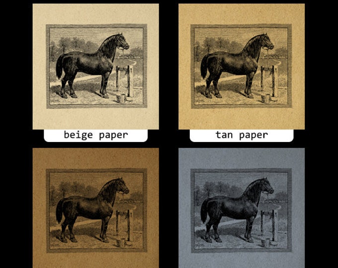 Printable Antique Horse Graphic Image Digital Farm Animal Download Vintage Clip Art Jpg Png Eps HQ 300dpi No.696