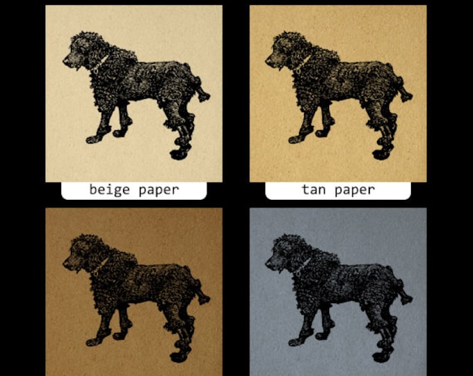 Dog Antique Image Graphic Download Digital Printable Vintage Clip Art for Transfers Printing etc HQ 300dpi No.357