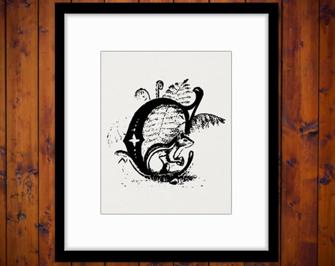 Printable Letter C with Chipmunk Digital Graphic Animal Letter Download Chipmunk Image Vintage Clip Art for Transfers etc HQ 300dpi No.4703