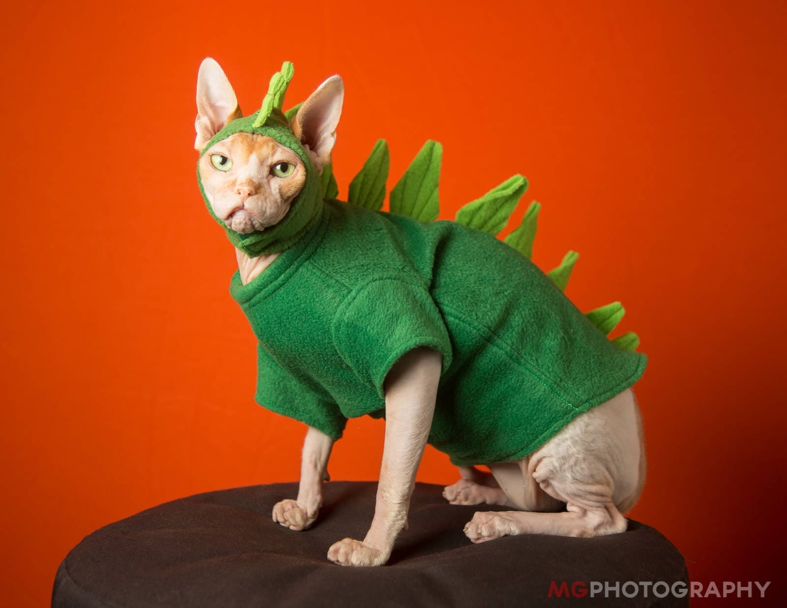 Pet Costume Godzilla Dinosaur Halloween Cat Clothes. Pet Hat