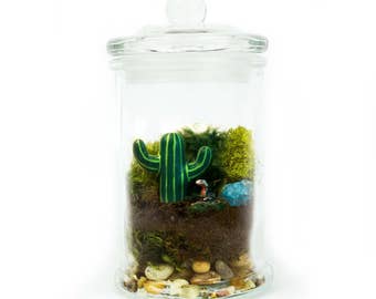 Poster Dsert Pour Terrarium Bebesaurus