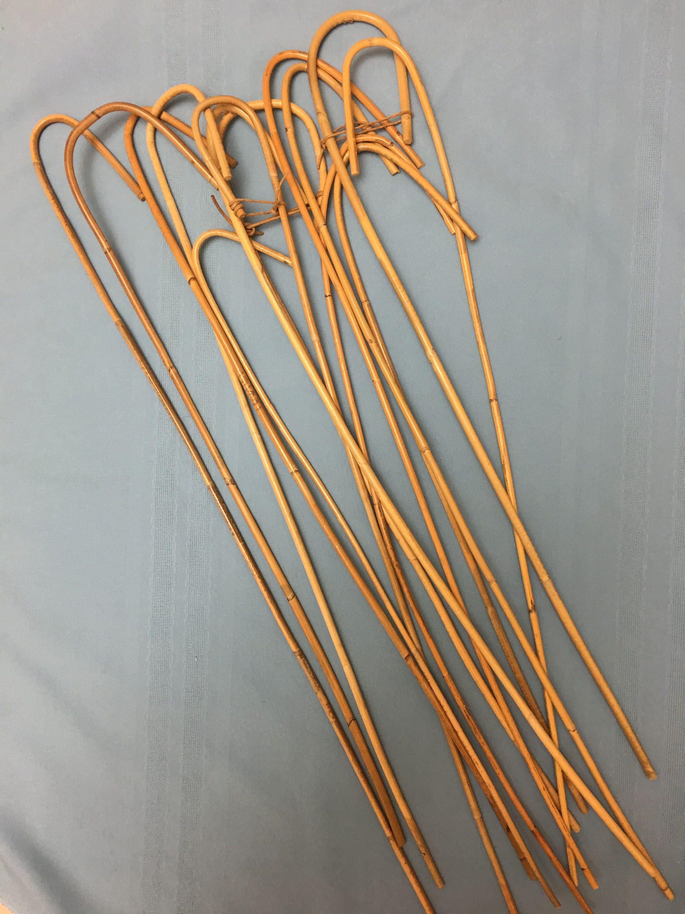 CLEARANCE Standard Kooboo English School Canes (Crook Handle