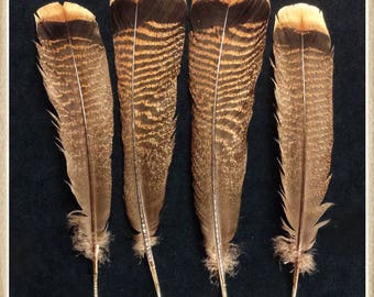 Game bird feathers and machine tumbled prairie by SpearpointRanch