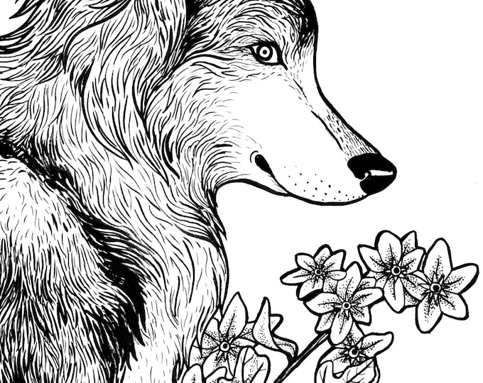 Wolf and Flowers Print Illustration Nature Wolves Floral - 11 by 16 artwork
