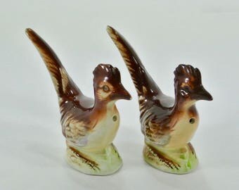 Salt Pepper Shakers Roadrunner Japan