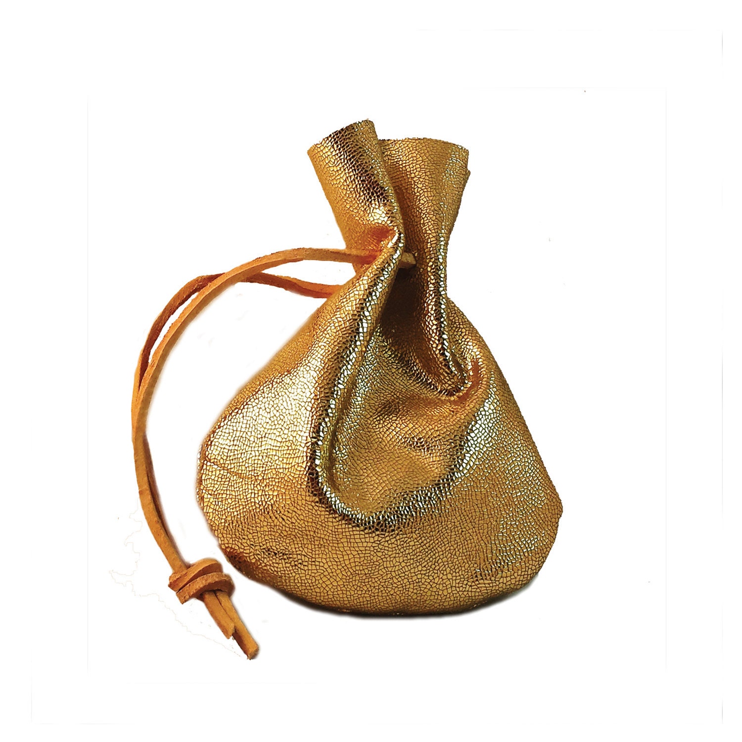 gold pouch purse