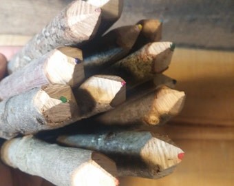 Twig Pencil Colored Pencil Set of 12, Rustic Colored Pencils, Coloring Pencil
