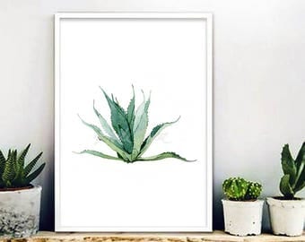 AGAVE Botanical art prints succulent plants poster wallart, modern plants illustration, cactus watercolour DIGITAL DOWNLOAD 7
