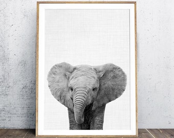 Elephant Print, Black And White Elephant Photo, Animal Nursery Decor, Nursery Wall Art, Animal Portraits, Digital Print, Instant Download