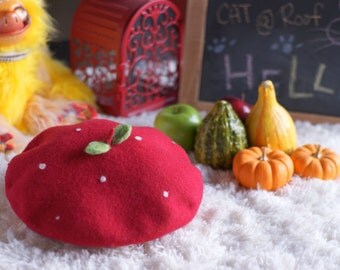 Strawberry Beret Needle Felting Kit