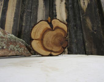 Gorgeous Juniper Tree Slice- Wall Hanging, Candle Stand, Centerpiece, Large Wood Slice, Clock Face (WS6050)