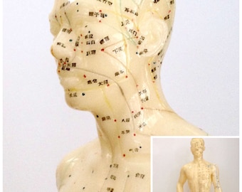 Vintage Rubber Acupuncture Model, Male Figure, Human Body Anatomical, Meridian & Extraordinary Points, Teaching Aide, Study Figure