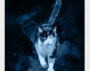 Cat Patronus 