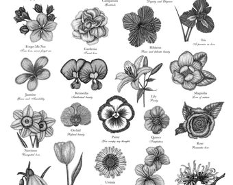 The Victorian Language of Flowers A to Z ~ A3 Limited Edition Print