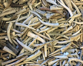 100 Pack - * Slightly Damaged*Deer Antler Tips, Points - Med. Size 2.5" To 4" Long. GRADE A, B, & C Mix.