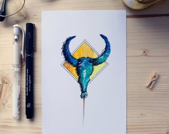 Illustration of a Buffalo skull.