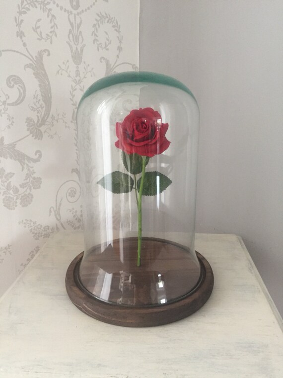 RED Rose Custom Made Bell Jar Glass Dome with Painted and
