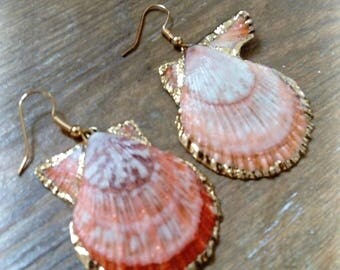 Shell pink and gold earrings